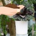 Automatic Vertical Stripes Round Shape Self Watering Plant Flower Pot Planter   